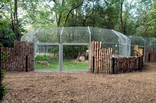 2010-ben adtuk át a farkasok kifutóját (Fotó: Endrédi Lajos)