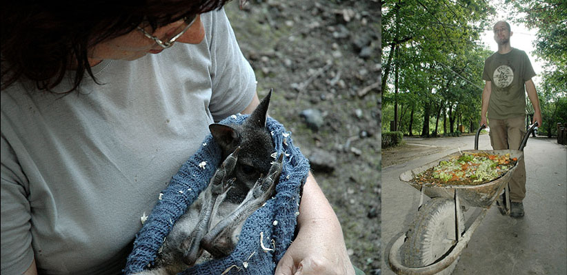 Fotó: a gondozói munka pillanatképei (Endrédi Lajos)
