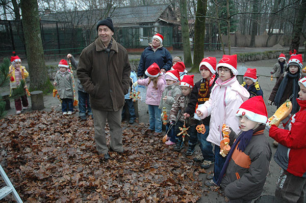 Fotó: állatok karácsonya (Endrédi Lajos)