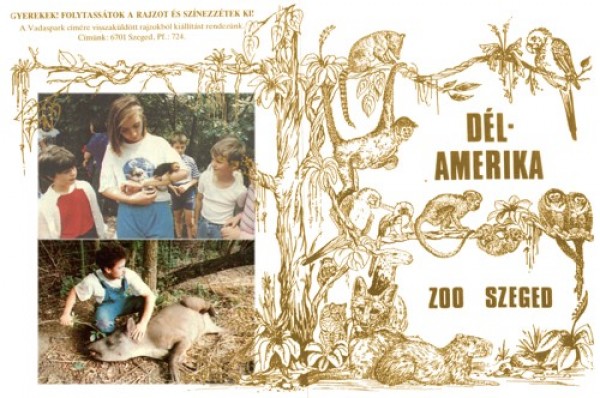 A dél-amerikai bemutató "védjeggyé" vált