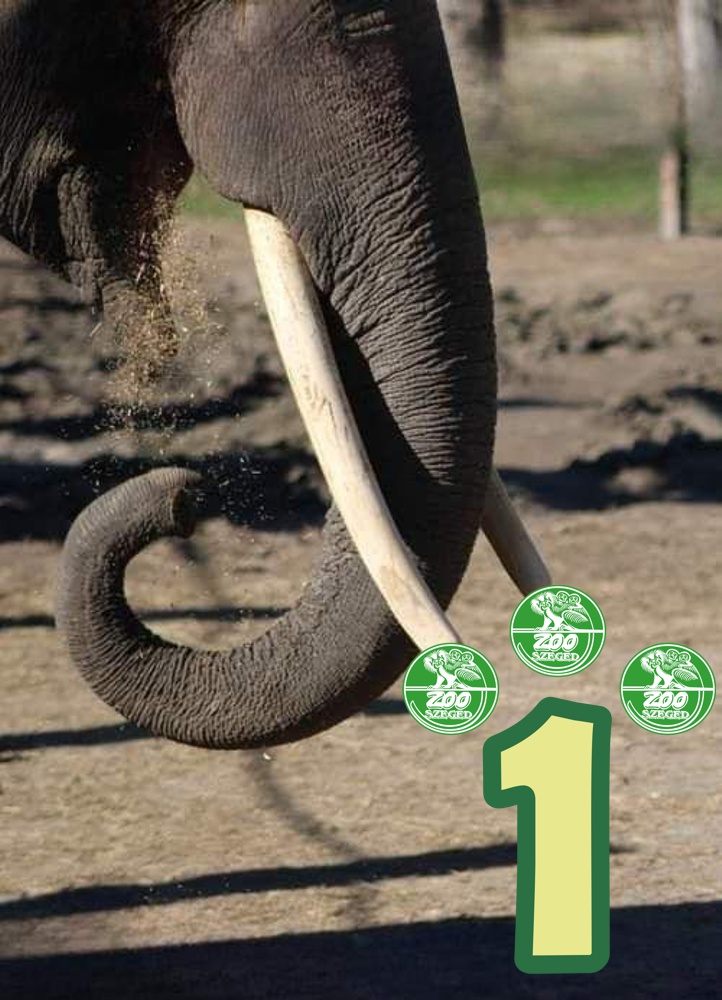 Fődíj: Bondar Katalin Félix című fotója